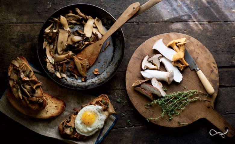 Exploring the Culinary World of Mushrooms: From Forest to Table