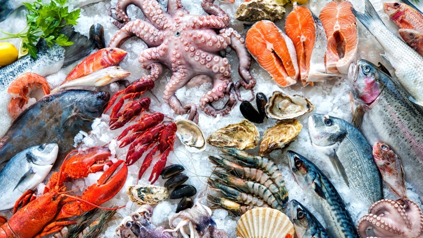 Sustainable Seafood: Navigating the Future of Ocean-Friendly Dining