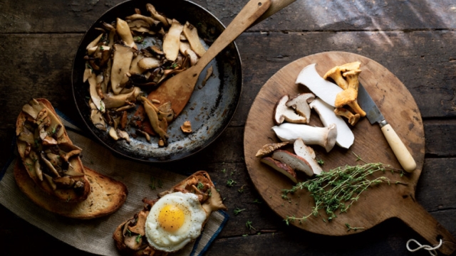 Exploring the Culinary World of Mushrooms: From Forest to Table