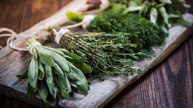 The Power of Herbs: How Fresh Herbs Transform Everyday Meals