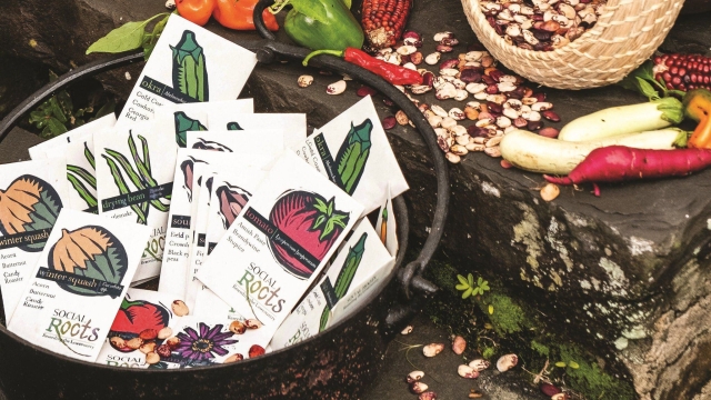 El Resurgimiento de las Verduras Heredadas: Preservando la Biodiversidad y el Sabor